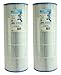 2) Unicel C-8412 Hayward CX1200RE Star Clear Plus Pool Filter Cartridges C8412