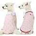 Blueberry Pet 2019 New Pack of 2 Soft & Comfy Sea Lover Girl Power Cotton Blend Dog Shirts Dog T Shirts, Back Length 10