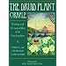 DRUID PLANT ORACLE (Book & Card Pack)