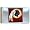 Washington Redskins