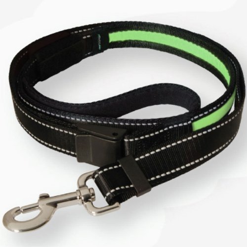 SafetyGlo Leash, Black/Green