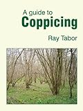 A guide to coppicing