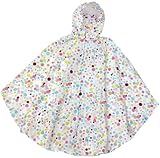 }[}fB C|` fB[Y English Dot G55031