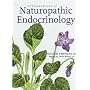 Fundamentals of Naturopathic Endocrinology: A Complementary And Alternative Medicine Guide