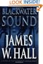 Blackwater Sound: A Novel