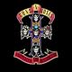 Appetite For Destruction [Explicit]