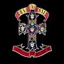 Appetite For Destruction [Explicit]