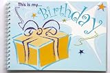 Review Two Little Boys Ltd  / This is my Birthday playbook