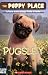 pug12  - Pugsley The Puppy Place