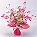 ���̊y�� ���G�}���L�O���[�� <�t�����[�V���[�Y> ���x�[��