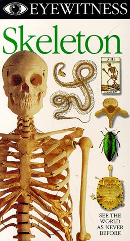 Eyewitness - Skeleton