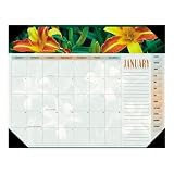 At-A-Glance 89805 Visual Organizer Floral Monthly Desk Pad Calendar, 22 x 17
