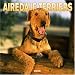 Airedale Terriers 2006 Calendar