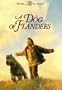 A Dog of Flanders [VHS]