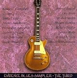 V3 Evidence Blues Sampler