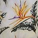 Bird of Paradise (new print)- Ladies Hawaiian Aloha Shirt