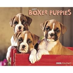 Just Boxer Puppies 2009 Calendar