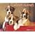 Just Boxer Puppies 2009 Calendar