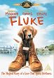 Fluke [DVD]