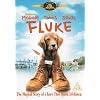 Fluke [DVD]
