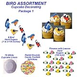 Birds Cakes Cupcakes Do It Yourself Cupcake Pkg. 1 108 Total Pieces by CakeWorks