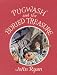 Pugwash and the Buried Treasure (Captain Pugwash)