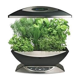 AeroGarden 900340-1200 6 Elite with Gourmet Herb Seed Kit, Black with Stainless Accents