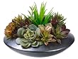 Artificial 10"Dx7"H Succulent Garden in Ceramic Bowl