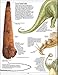 Dinosaur (DK Eyewitness Books)