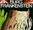 Burg Frankenstein-2