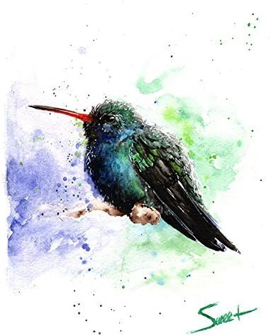 Hummingbird Watercolor Print, Broad Billed Hummingbird Painting, Bird Wall Art, Bird Gifts, Hummingbird Decor