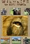 Wildlife of East Africa