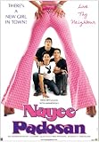 Nayee Padosan (2003) (Hindi Film / Bollywood Movie / Indian Cinema DVD)