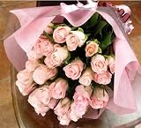 �ڥե����եȡ۽����˿͵��Υԥ󥯤ΥХ��«20�ܡڵ�ǰ�� ���ˤ� ��� �������ץ쥼��Ȥ�£��ʪ��
