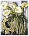 Arums III by Tamara De Lempicka Giclee Art Print Poster