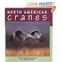 North American Cranes (Nature Watch)