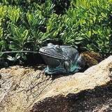 Bullfrog