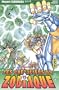 Les Chevaliers du Zodiaque : St Seiya, tome 15