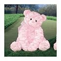 LIFE Pink Bear Large 18 inch Teddy Bear - Supports breast cancer research and...