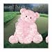 Life Bear (large) 18