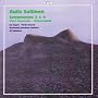 Aulis Sallinen: Symphonies 2 & 4; Horn Concerto; Mauermusik