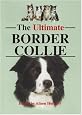 The Ultimate Border Collie