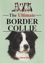 The Ultimate Border Collie
