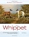 The Whippet (Kennel Club Classics)