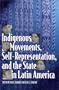 Indigenous Movements, Self-Representation, and the State in Latin America
