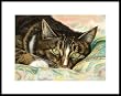 Pillow Talk by Drew Strouble
