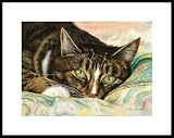 Pillow Talk by Drew Strouble