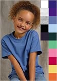 Hanes Youth Authentic Tagless Tee - 15 Colors Available