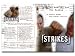 Strikes: Russian Martial Art, the System