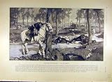 1904 Hoffbauer Battle-Field War French Print Fine Art